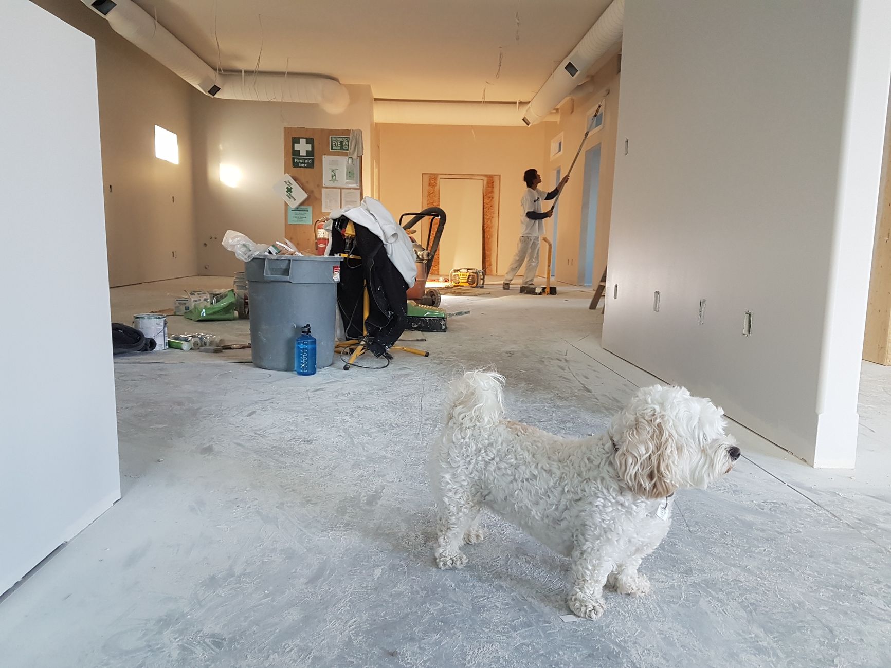 Interior renovation scene with a painter working and a dog in the foreground in Riverside, CA